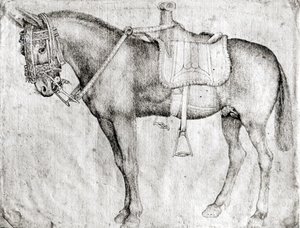 Mula, del Álbum Vallardi de Antonio Pisanello
